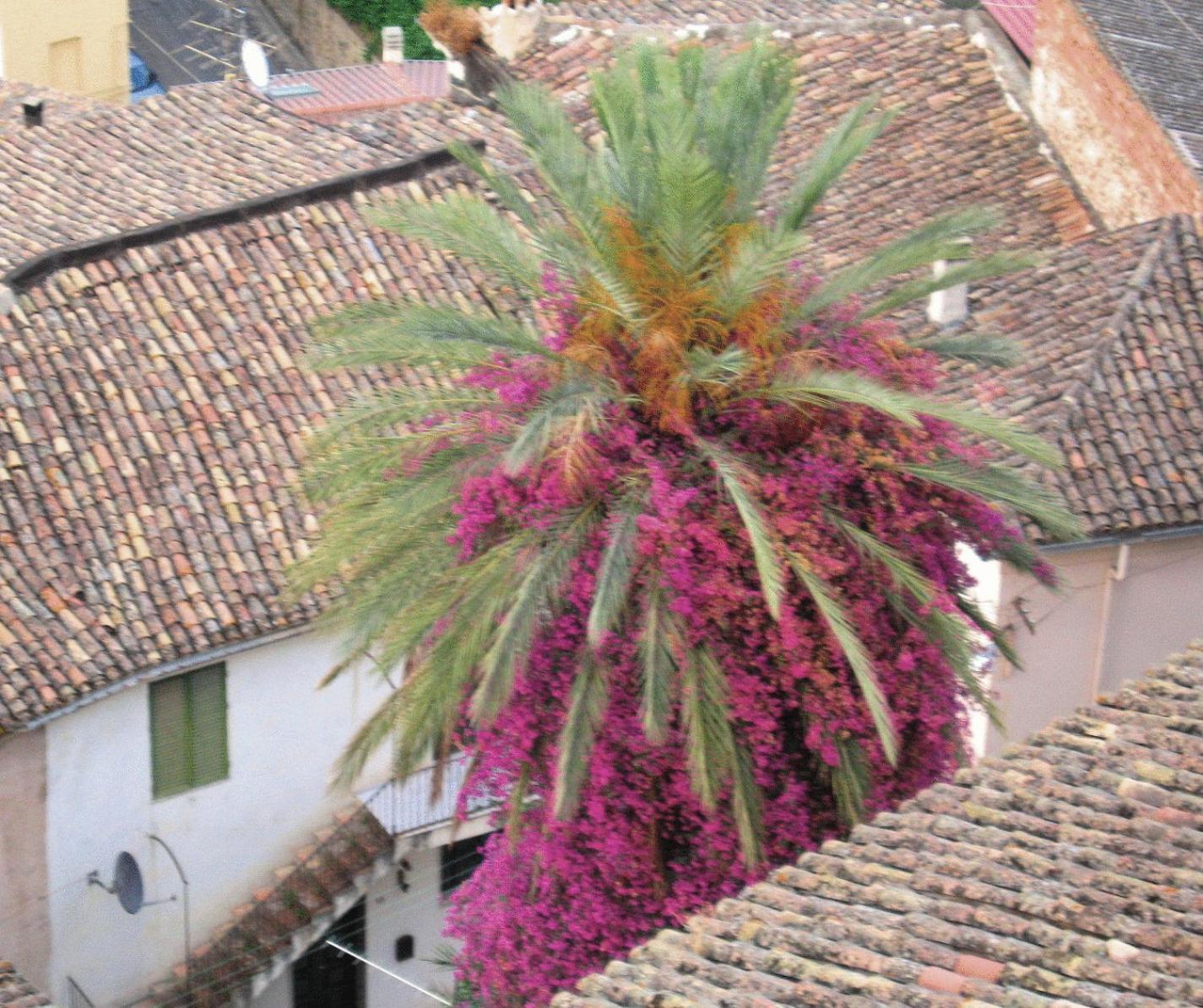 Relais Hotel Palazzo Castriota Corigliano Calabro Zewnętrze zdjęcie